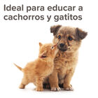 Beaphar Spray Educador para Exterior para perros y gatos, , large image number null